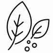 ¿Qué ingredientes contiene Bloom?