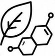 ¿Qué ingredientes contiene Rhodiola Rosea?